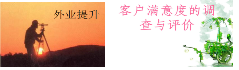政务咨询